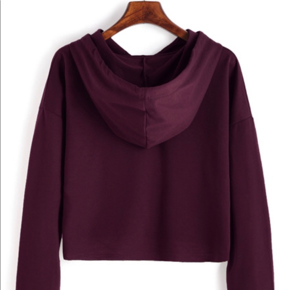 Drawstring Hooded Crop Sweatshirt - Picture 3 of 3